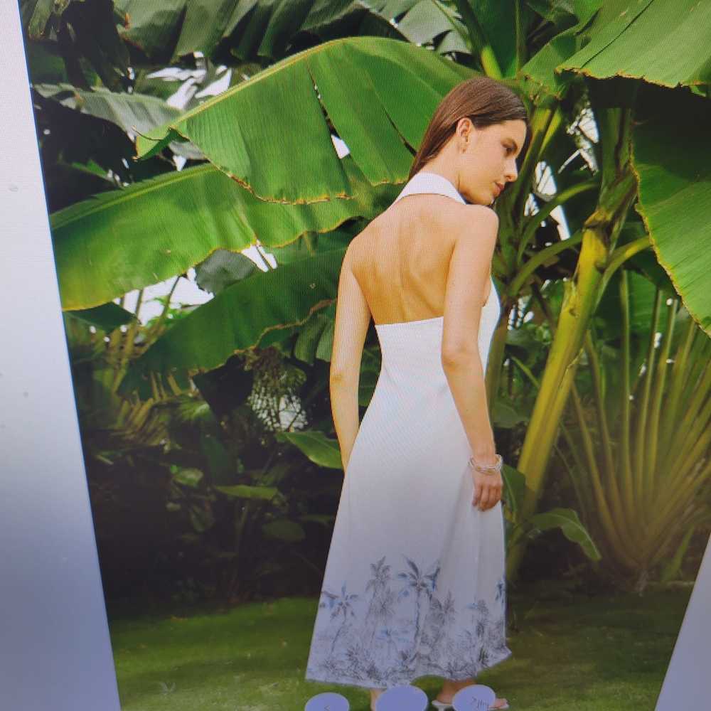Commense White and Blue Maxi Dress - Picture 7 of 10